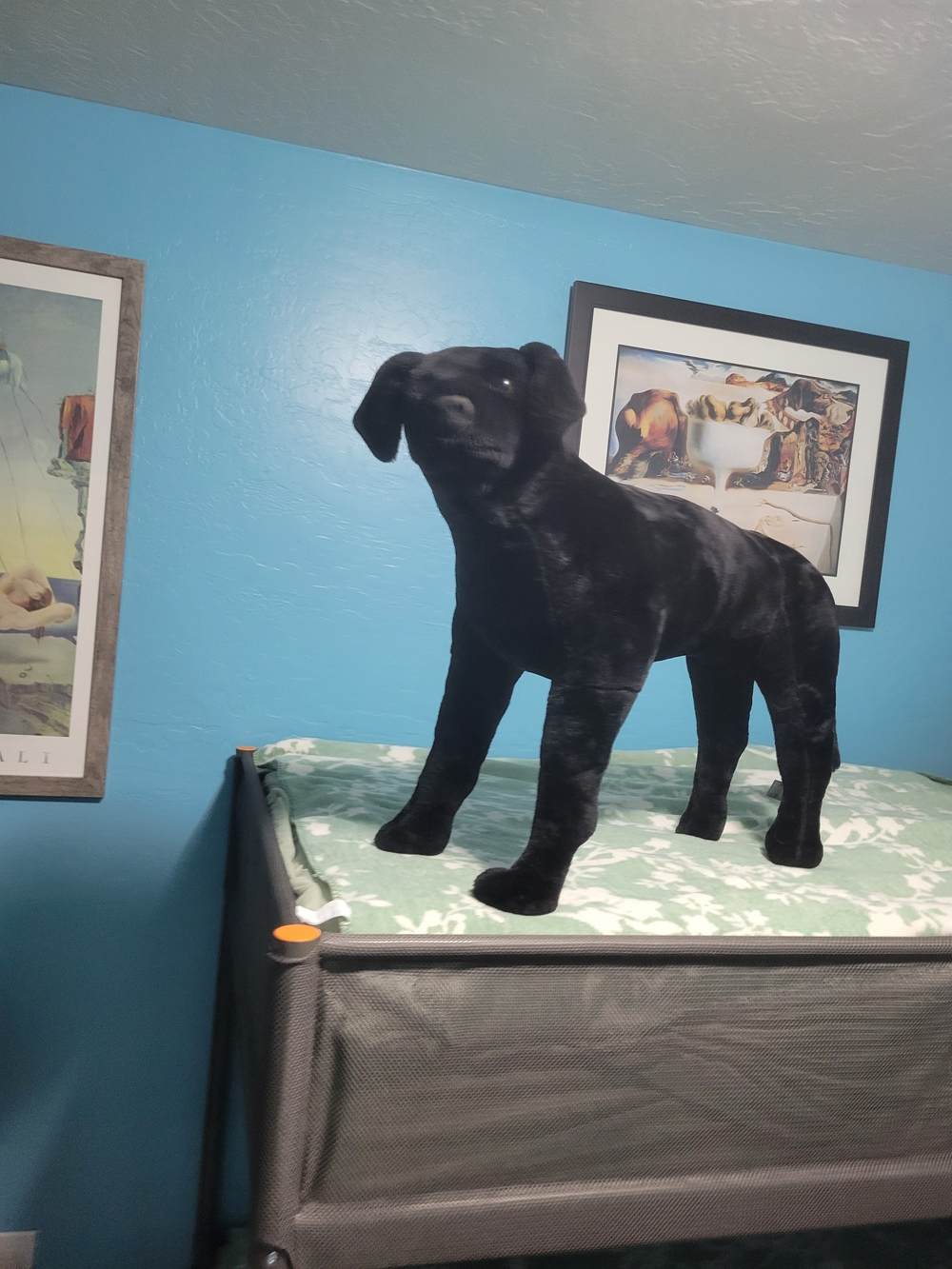 Black Plush Dog Toy - Soft Pet Plushie - Picture 13 of 15